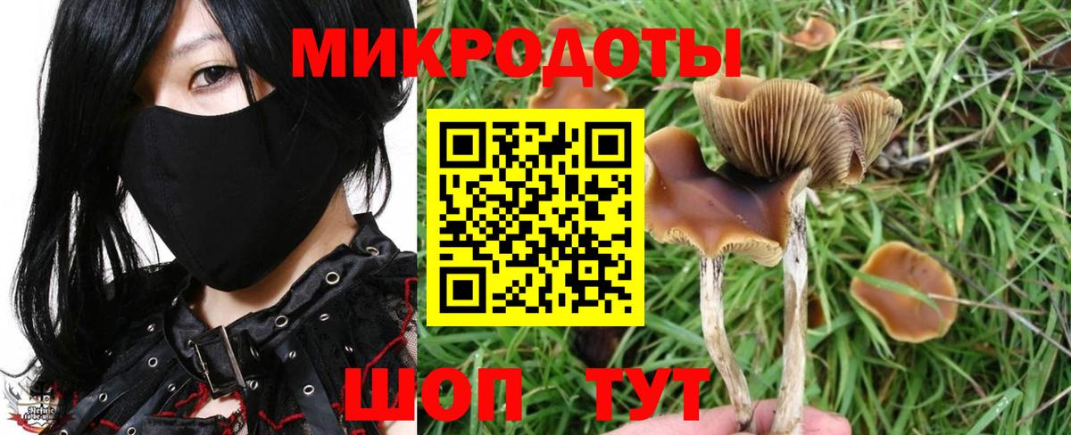 Псилоцибиновые грибы мухоморы Владикавказ