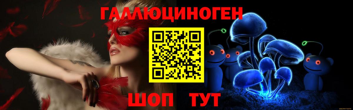 Владикавказ  Псилоцибиновые грибы мицелий  Вход с VPN 
